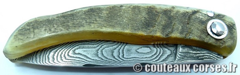 curnicciolu-damas-et-corne-de-belier-BRDLKM593-padovani-12