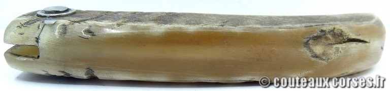 curnicciolu-damas-et-corne-de-belier-BRDLKM593-padovani-12