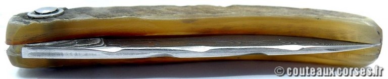 curnicciolu-damas-et-corne-de-belier-BRDLKM593-padovani-1