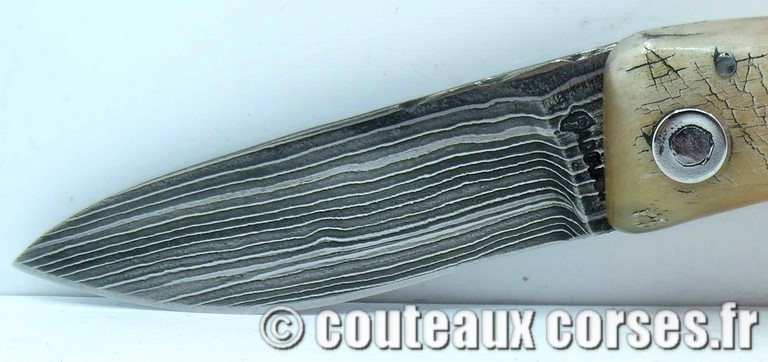 couteau corse curnicciolu damas et corne de belier curnicciolu-damas-et-corne-de-belier-_LKJN2106-padovani-8