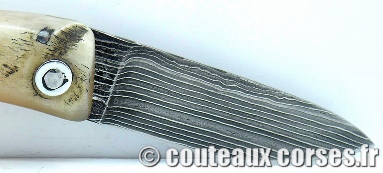 couteau corse curnicciolu damas et corne de belier curnicciolu-damas-et-corne-de-belier-_LKJN2106-padovani-11