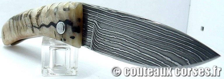 curnicciolu-damas-et-corne-de-belier-LMGF871-padovani-1128