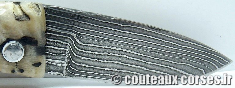 curnicciolu-damas-et-corne-de-belier-LMGF871-padovani-11