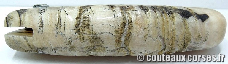 curnicciolu-damas-et-corne-de-belier-LMGF871-padovani-12