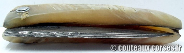 curnicciolu-damas-et-corne-de-belier-LMGF871-padovani-4