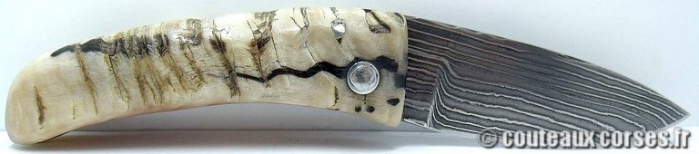 curnicciolu-damas-et-corne-de-belier-LMGF871-padovani-18