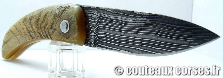 curnicciolu-damas-et-corne-de-belier-VBNR036-padovani-1128