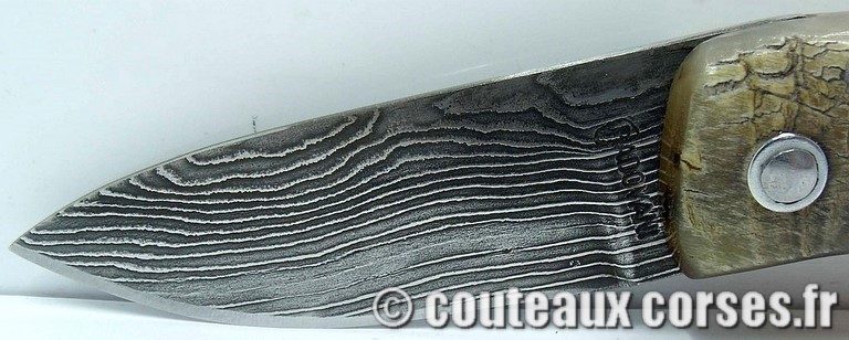 couteau corse curnicciolu damas et corne de belier curnicciolu-damas-et-corne-de-belier-VBNR036-padovani-18