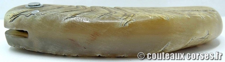 curnicciolu-damas-et-corne-de-belier-VBNR036-padovani-12
