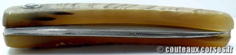 curnicciolu-damas-et-corne-de-belier-VBNR036-padovani-4