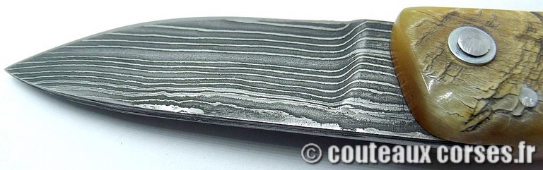 curnicciolu-damas-et-corne-de-belier-VBNR036-padovani-38
