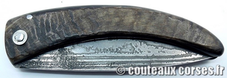 curnicciolu-damas-et-corne-de-belier-_GHJD9614-padovani-3
