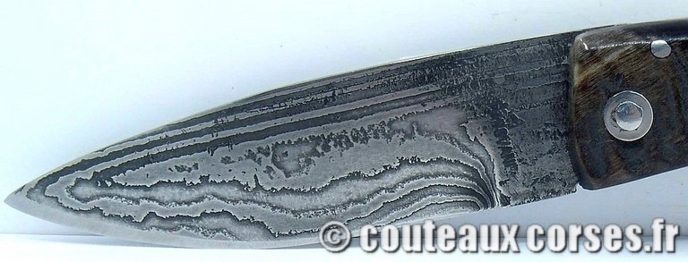 couteau corse curnicciolu damas et corne de belier curnicciolu-damas-et-corne-de-belier-_GHJD9614-padovani-18