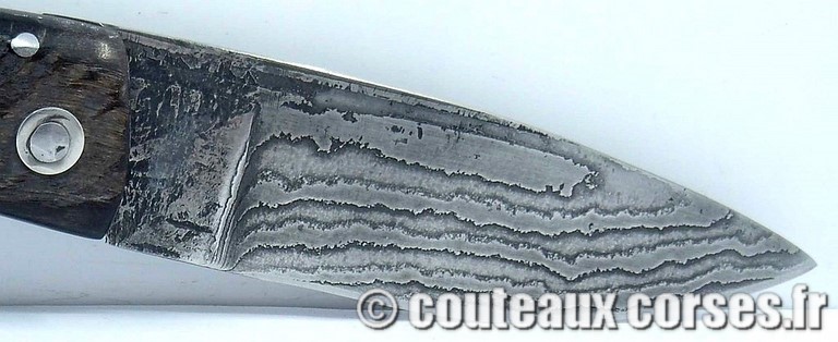 couteau corse curnicciolu damas et corne de belier curnicciolu-damas-et-corne-de-belier-_GHJD9614-padovani-11
