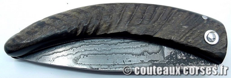 curnicciolu-damas-et-corne-de-belier-_GHJD9614-padovani-12