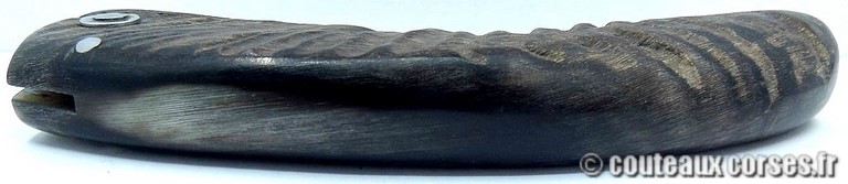 curnicciolu-damas-et-corne-de-belier-_GHJD9614-padovani-12