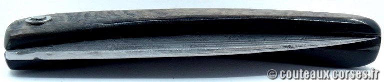 curnicciolu-damas-et-corne-de-belier-_GHJD9614-padovani-1