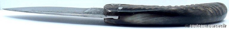 curnicciolu-damas-et-corne-de-belier-_GHJD9614-padovani-14