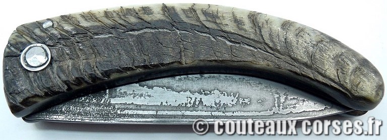 curnicciolu-damas-et-corne-de-belier-KLNB5521-padovani-3