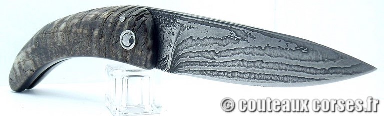 curnicciolu-damas-et-corne-de-belier-KLNB5521-padovani-110
