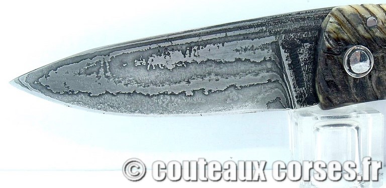 couteau corse curnicciolu damas et corne de belier curnicciolu-damas-et-corne-de-belier-KLNB5521-padovani-18