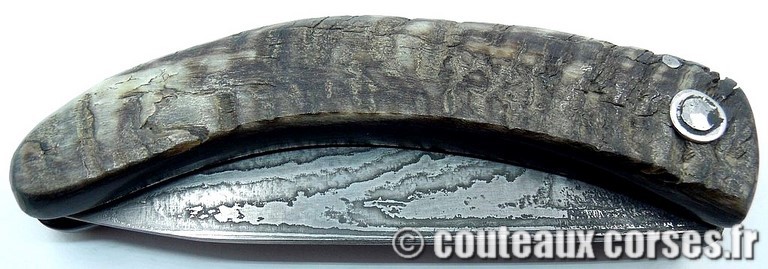 curnicciolu-damas-et-corne-de-belier-KLNB5521-padovani-i12