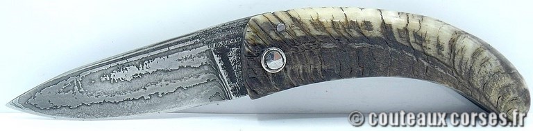 couteau corse curnicciolu damas et corne de belier curnicciolu-damas-et-corne-de-belier-KLNB5521-padovani-5