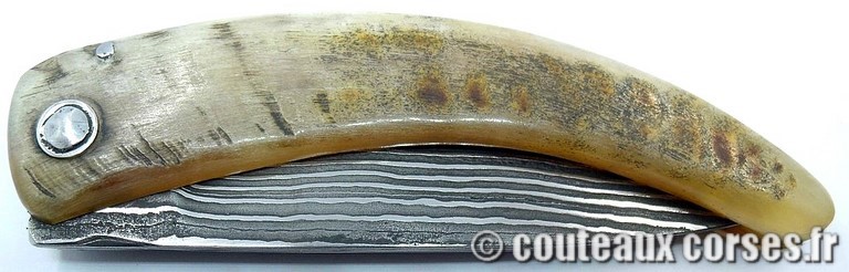curnicciolu-damas-et-corne-de-belier-_FDRE875-padovani-3