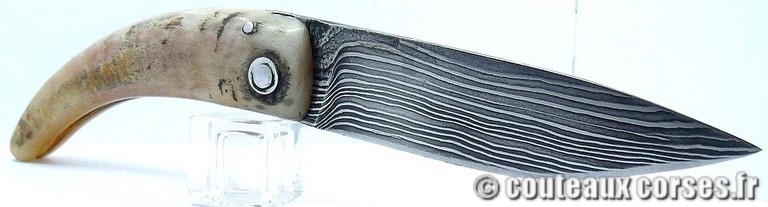 curnicciolu-damas-et-corne-de-belier-_FDRE875-padovani-110