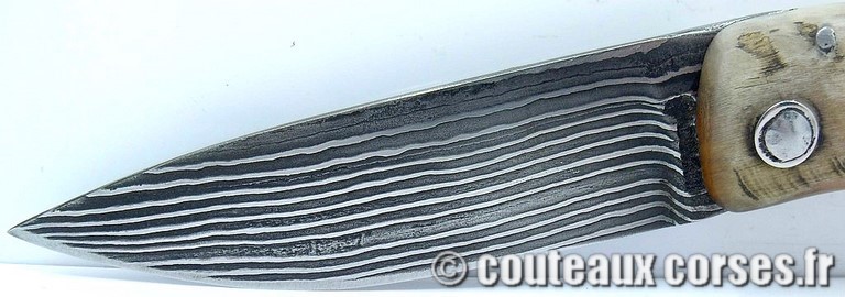 couteau corse curnicciolu damas et corne de belier curnicciolu-damas-et-corne-de-belier-_FDRE875-padovani-8