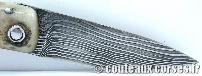 couteau corse curnicciolu damas et corne de belier curnicciolu-damas-et-corne-de-belier-_FDRE875-padovani-11