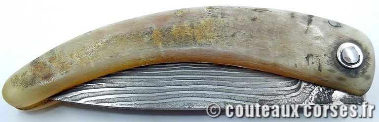 curnicciolu-damas-et-corne-de-belier-_FDRE875-padovani-12