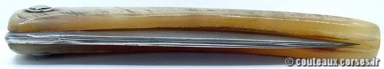 curnicciolu-damas-et-corne-de-belier-_FDRE875-padovani-4