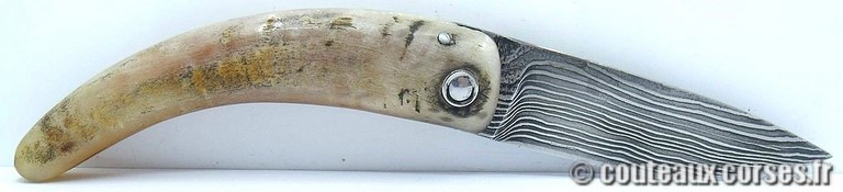couteau corse curnicciolu damas et corne de belier curnicciolu-damas-et-corne-de-belier-_FDRE875-padovani-18