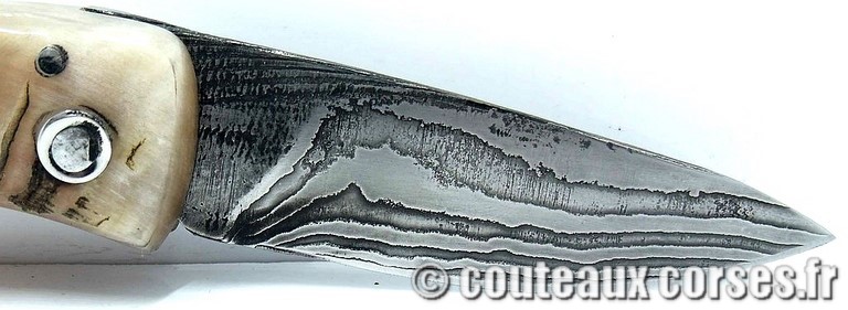 couteau corse curnicciolu damas et corne de belier curnicciolu-damas-et-corne-de-belier-_MBTRP851-padovani-11