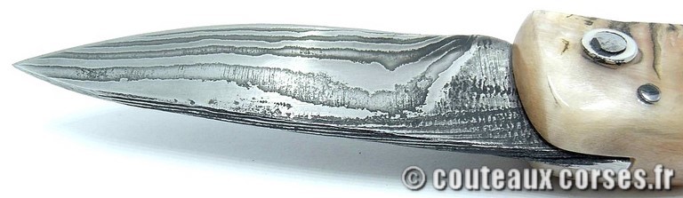 curnicciolu-damas-et-corne-de-belier-_MBTRP851-padovani-189