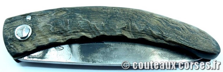 couteau corse curnicciolu Padovani u3 couteau-corse-curnicciolu-padovani-ZAMCVP875-91