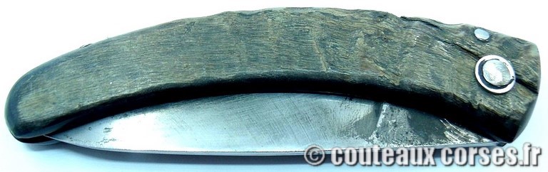 couteau corse curnicciolu Padovani u3 couteau-corse-curnicciolu-padovani-ZAMCVP875-8