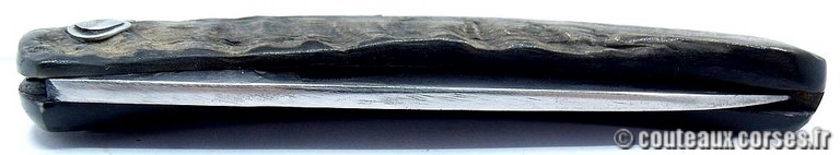 couteau corse curnicciolu Padovani u3 couteau-corse-curnicciolu-padovani-ZAMCVP875-4