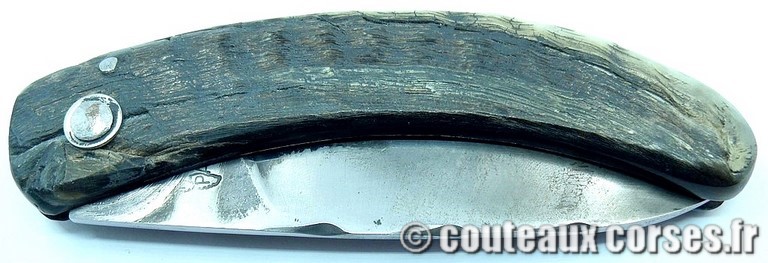 couteau corse curnicciolu Padovani u3 couteau-corse-curnicciolu-padovani-DPLFDO833-91