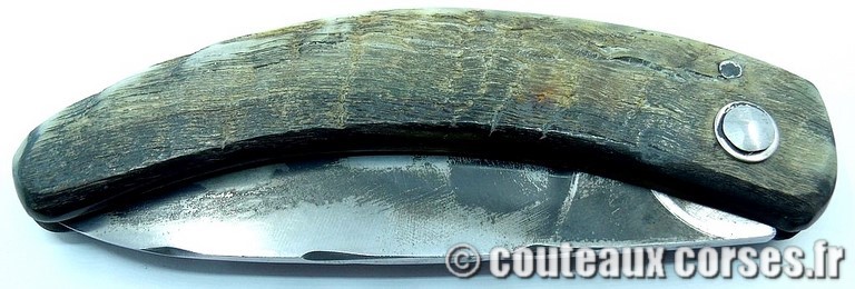 couteau corse curnicciolu Padovani u3 couteau-corse-curnicciolu-padovani-DPLFDO833-8