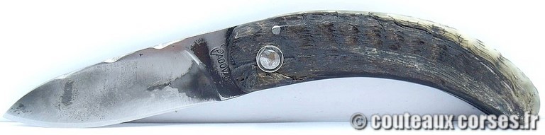 couteau corse curnicciolu Padovani u3 couteau-corse-curnicciolu-padovani-DPLFDO833-5