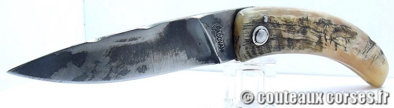 couteau-corse-curnicciolu-padovani-ERPCVD817-9