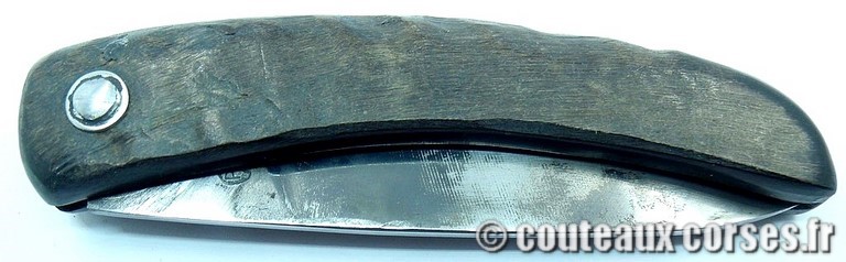 couteau corse curnicciolu Padovani u3 couteau-corse-curnicciolu-padovani-NEZSDP419-91