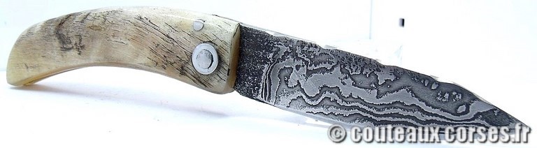 curnicciolu-damas-et-corne-de-belier-HGFQPN009-padovani-1128