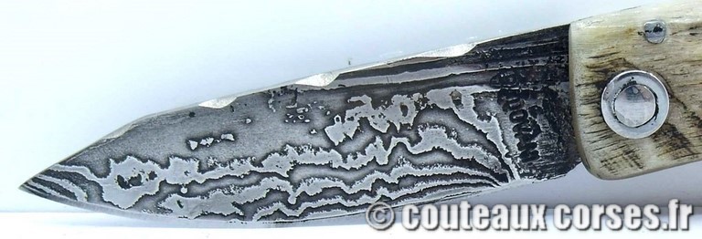 couteau corse curnicciolu damas et corne de belier curnicciolu-damas-et-corne-de-belier-HGFQPN009-padovani-198