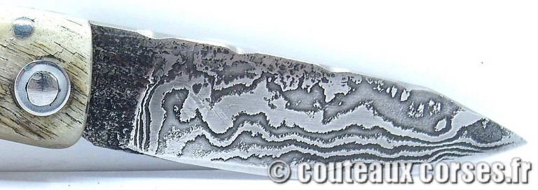 curnicciolu-damas-et-corne-de-belier-HGFQPN009-padovani-11