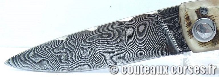 couteau corse curnicciolu damas et corne de belier curnicciolu-damas-et-corne-de-belier-LKFDPO807-padovani-198