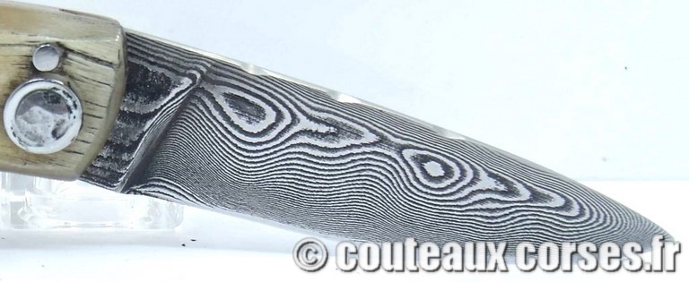 curnicciolu-damas-et-corne-de-belier-LKFDPO807-padovani-11