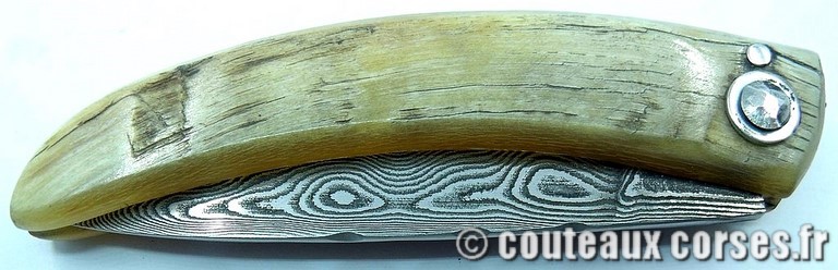 curnicciolu-damas-et-corne-de-belier-LKFDPO807-padovani-12